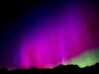 IMG_4210.jpeg
