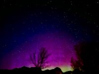 IMG_4242.jpeg