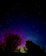 IMG_4240.jpeg