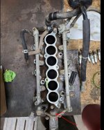 gasket_2.jpg