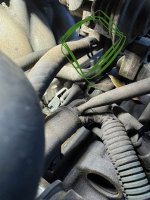 IMG_1517.jpeg