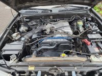 Brand new engine bay.jpg
