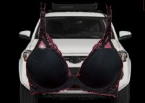 bra.jpg