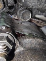 Leaking Thermostat.jpg