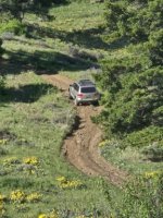 Uphill Battle VW_sm.jpg
