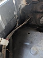 PXL_20240702_030216204.jpg
