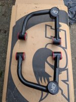 PXL_20250308_195640377 Medium.jpeg