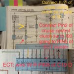 A01FB40F-D326-4DE2-A464-0843BAF2A40C.jpg