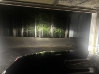 IMG_8007 Medium.jpeg