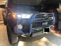IMG_7985 Medium.jpeg