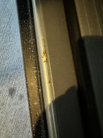 IMG_5470.jpg