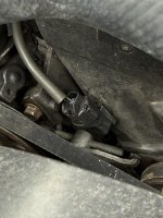 IMG_5447 Large.jpg