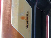 IMG_1993.jpg