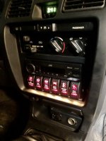 IMG_7455 Medium.jpeg