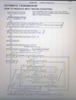 Trans 2.jpg