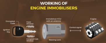 Immobilizer.jpg