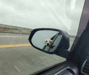 thumbnail (1).jpeg