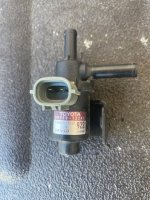 IMG_3797.jpeg
