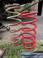 IMG_2887 Medium.jpg