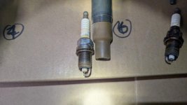 PXL_20241109_194032904-2.jpg