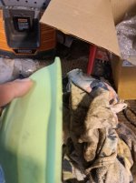 2_Housing_Fix_20250619_173848-min.jpg