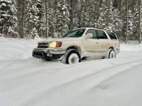 IMG_5775.jpg