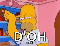 Doh Homer.jpg