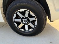 IMG_8618.jpeg