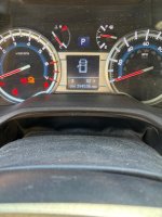 IMG_1319.jpeg