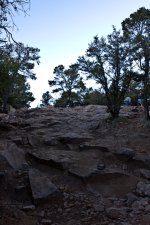 IMG_0643.jpg