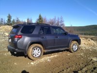 IMG_20101113_130222.jpg