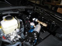 IMG_1938.JPG IMG_1938.JPG