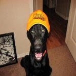 Wilsonhat.jpg