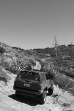 IMG_0448.jpg