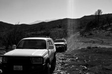 IMG_0528.jpg