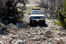 IMG_0558.jpg