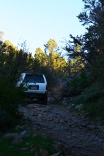 IMG_0606.jpg