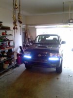 LEDs.jpg