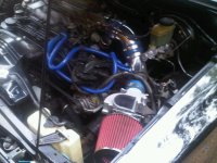 IMG00486-20110326-1654.jpg