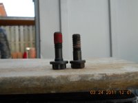 DSCN1011.jpg