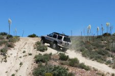 IMG_0789.jpg
