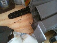 IMG_1323[1].jpg
