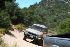 IMG_0825.jpg