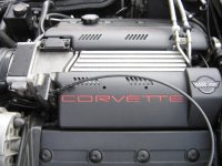 newvettepics 020.jpg