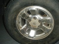 wheel1.jpg wheel1.jpg