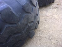 IMG-20101117-00190.jpg