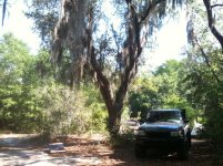 IMG_1014.jpg IMG_1014.jpg