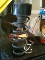 rear coil 2.jpg rear coil 2.jpg