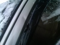 IMG00307-20101120-1000.jpg