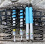 shocks1.jpg